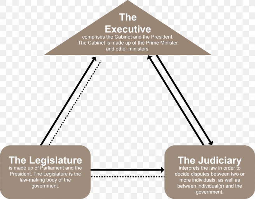 Constitution Of Singapore Judiciary Law Supreme Court, PNG, 967x754px, Watercolor, Cartoon, Flower, Frame, Heart Download Free