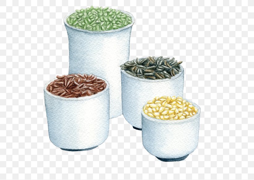 Flowerpot Tableware Commodity, PNG, 560x581px, Flowerpot, Commodity, Tableware Download Free