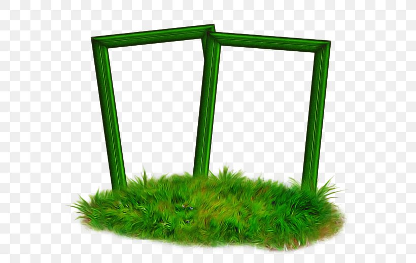 Green Background Frame, PNG, 600x518px, Green, Aquarium Decor, Blog, Grass, Moebe Frame Download Free