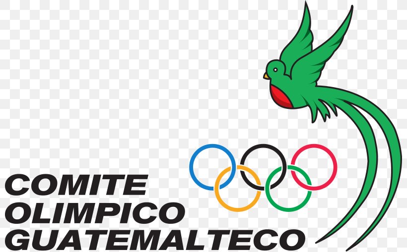 Summer Olympic Games Guatemalan Olympic Committee Guatemala City National Olympic Committee, PNG, 800x509px, Olympic Games, Area, Artwork, Brand, Green Download Free