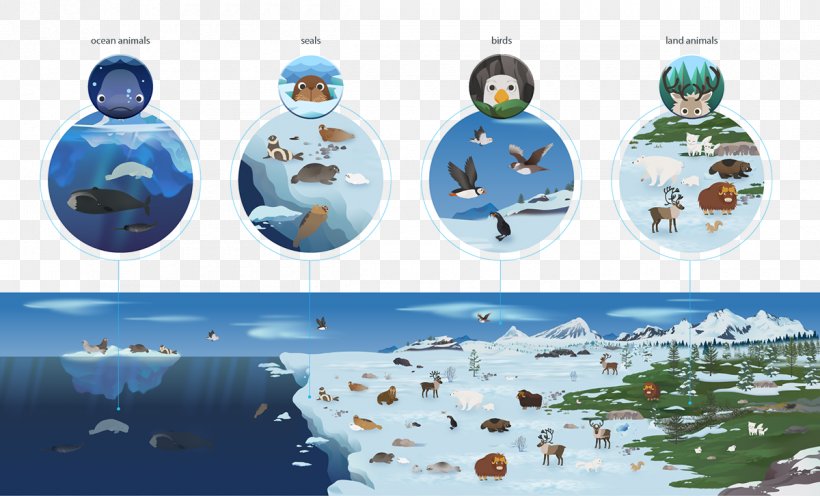 World Plastic Desktop Wallpaper, PNG, 1200x726px, World, Computer, Plastic, Recreation, Water Download Free