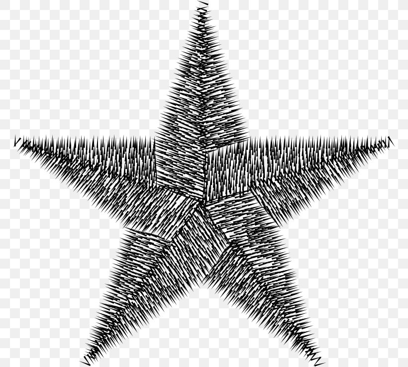 Star Clip Art, PNG, 768x738px, Star, Art, Black And White, Color, Gold Download Free