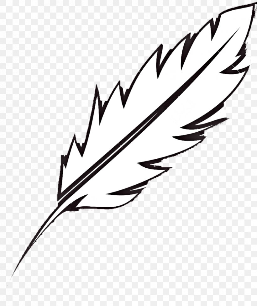 Feather Bird Clip Art Coloring Book Illustration, PNG, 827x985px, Feather, Artwork, Beak, Bird, Black And White Download Free