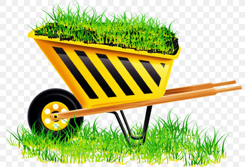 Grass Wheelbarrow Cart Vehicle Grass Family, PNG, 800x558px, Grass, Cart, Fodder, Garden Tool, Grass Family Download Free