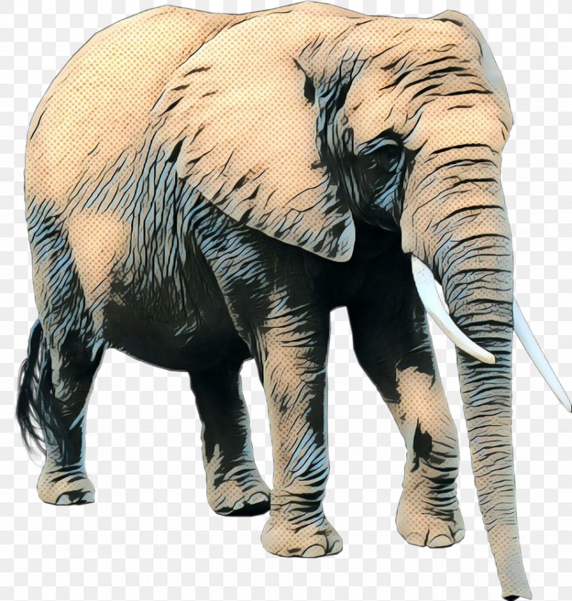 Indian Elephant African Elephant Lahore Zoo Punjab Wildlife Department, PNG, 872x916px, Indian Elephant, African Elephant, Animal, Animal Figure, Cites Download Free