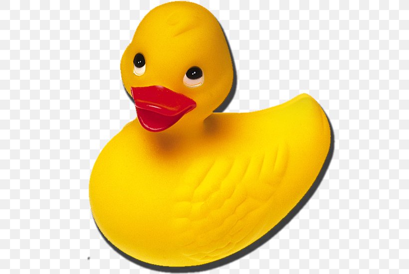 Rubber Duck Raster Graphics, PNG, 550x550px, Duck, Beak, Bird, Bitmap, Ducks Geese And Swans Download Free