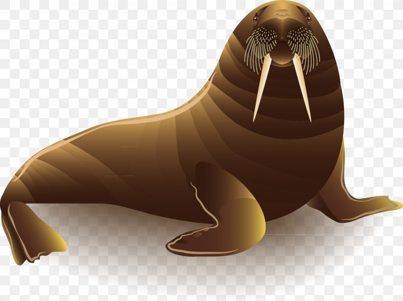 Sea Lion Walrus, PNG, 1895x1416px, Sea Lion, Animal, Aquatic Animal, Carnivoran, Lion Download Free