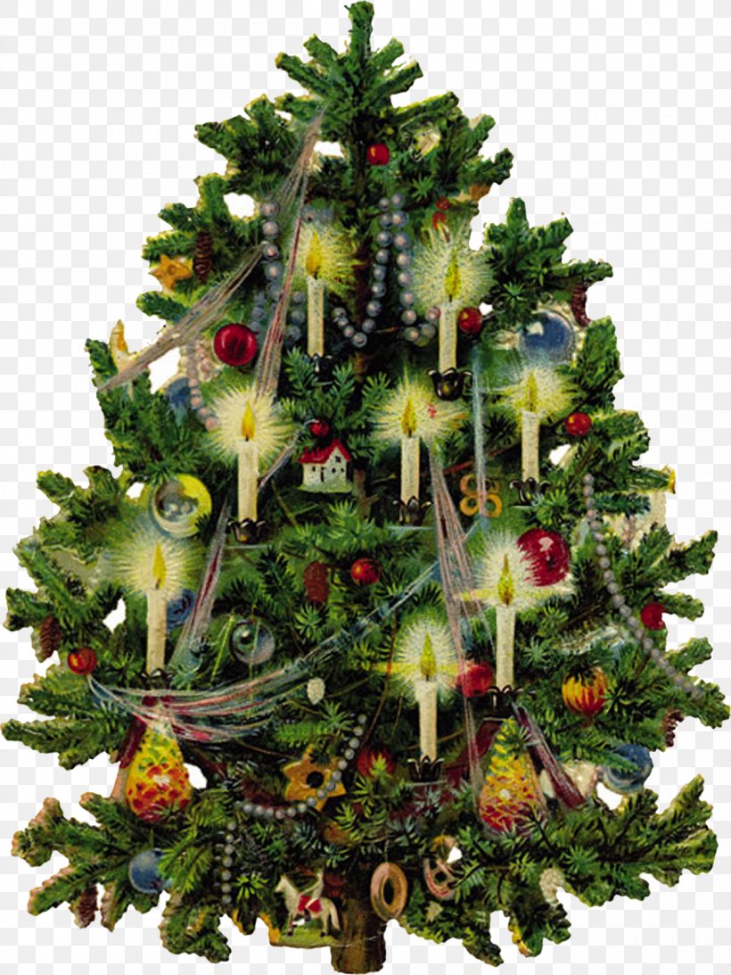 Victorian Era Christmas Tree Santa Claus Clip Art, PNG, 1200x1600px, Victorian Era, Artificial Christmas Tree, Christmas, Christmas Card, Christmas Decoration Download Free
