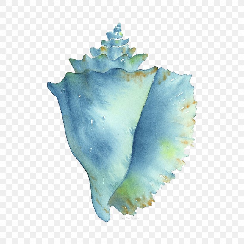 Conch Watercolor Painting Seashell Image, PNG, 900x900px, Conch, Aqua, Art, Artist, Color Download Free
