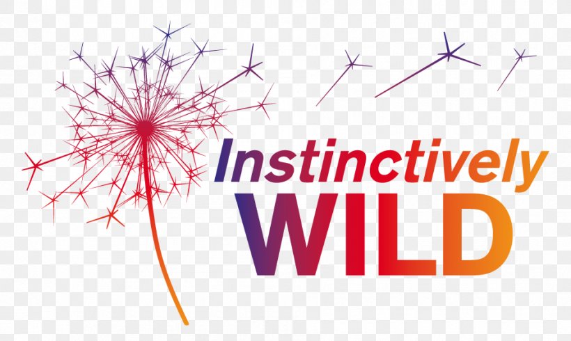 Definition Instinctively Wild Services CIC East Lothian Noble Ox Marketing Information, PNG, 945x565px, Definition, Brand, Concept, East Lothian, Energy Download Free