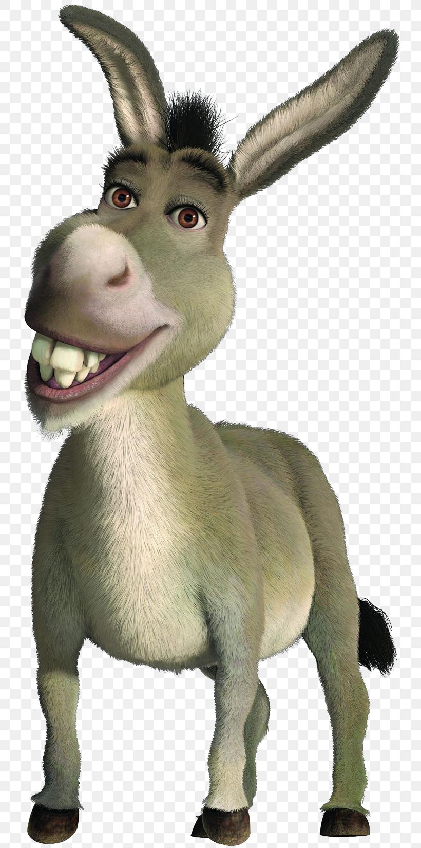 Donkey Shrek Princess Fiona Puss In Boots Dragon, PNG, 751x1650px ...