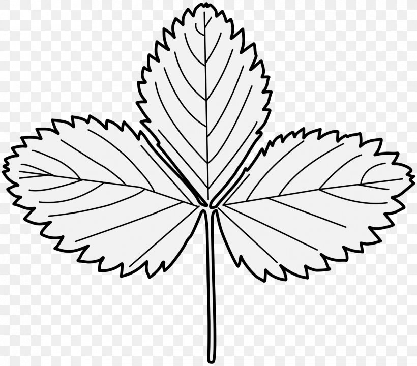 Drawing Strawberry Image Leaf Plants, PNG, 1237x1087px, Drawing, Art, Berries, Blackandwhite, Botany Download Free