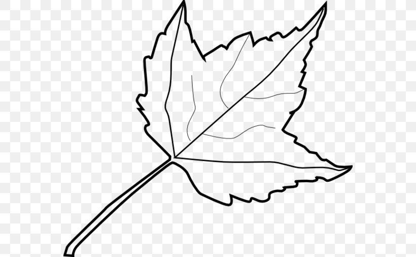 Maple Leaf Drawing Clip Art, PNG, 570x506px, Maple Leaf, Area, Artwork, Autumn, Autumn Leaf Color Download Free