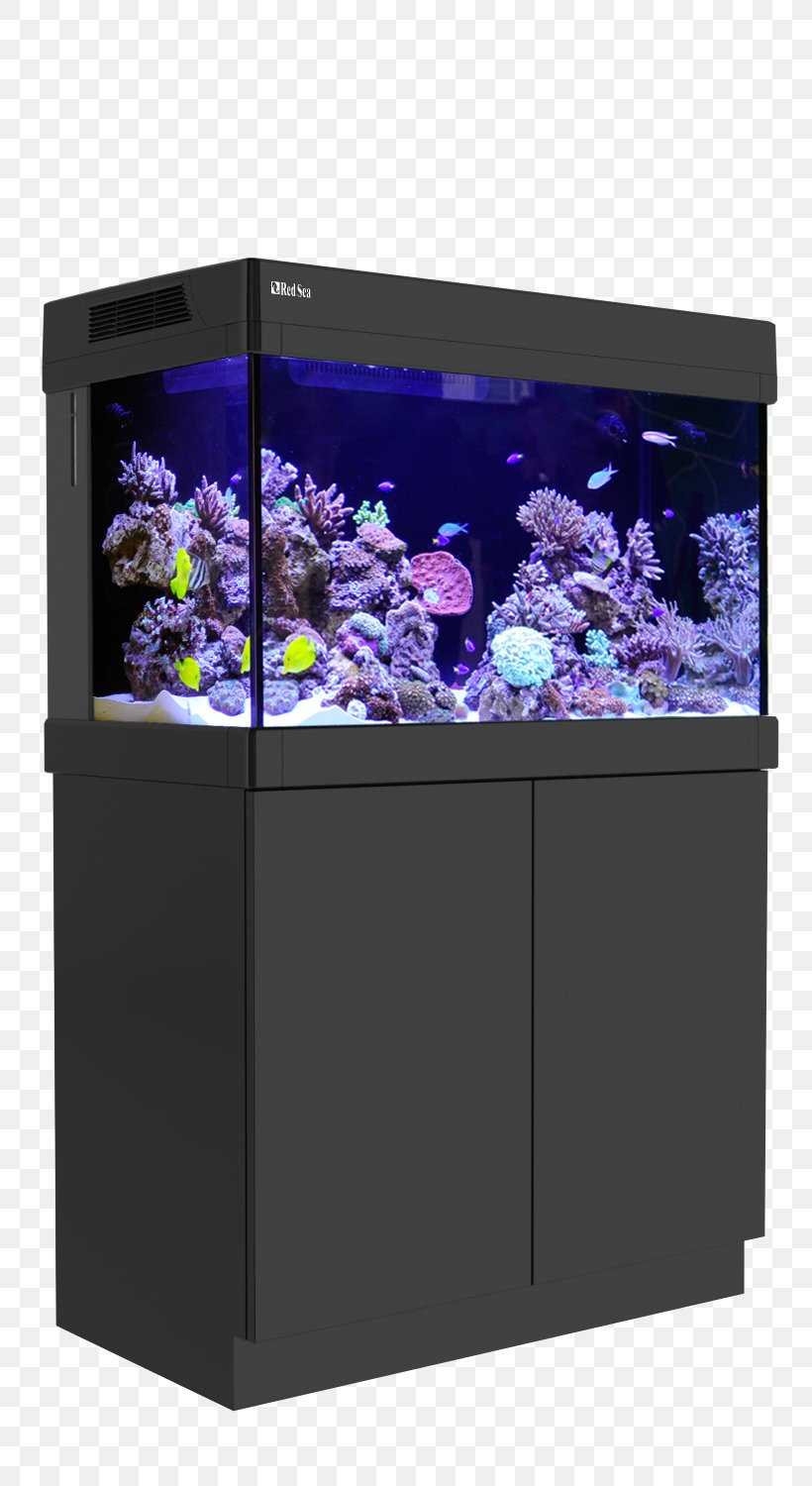 Aquariums Coral Reef Reef Aquarium, PNG, 816x1500px, Aquarium, Aquarium Lighting, Aquariums, Coral, Coral Reef Download Free