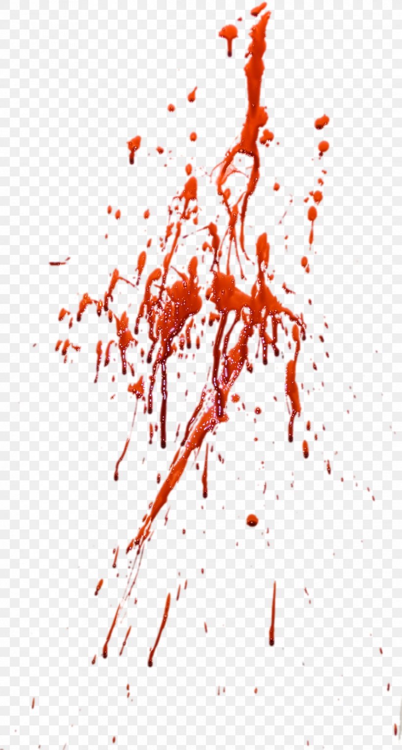 Blood Clip Art, PNG, 1246x2325px, Blood, Art, Blood Plasma, Branch, Editing Download Free