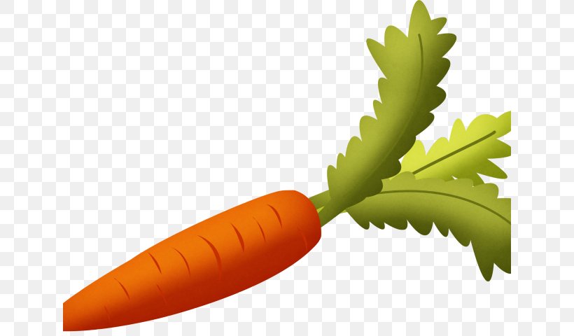 Clip Art Carrot Root Vegetables, PNG, 640x480px, Carrot, Celery, Food, Fruit, Greens Download Free