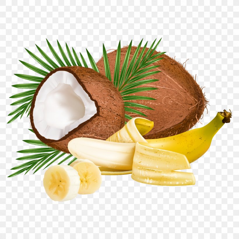 Coconut Leaf Clip Art, PNG, 1000x1000px, Coconut, Arecaceae, Coconut Oil, Drawing, Food Download Free
