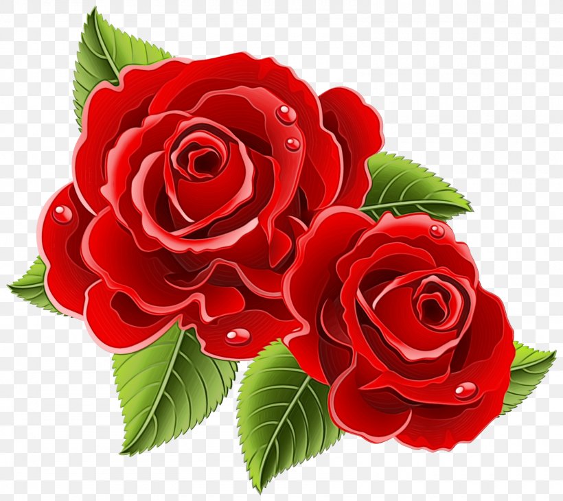 Garden Roses, PNG, 1600x1425px, Watercolor, Cut Flowers, Floribunda, Flower, Flowering Plant Download Free