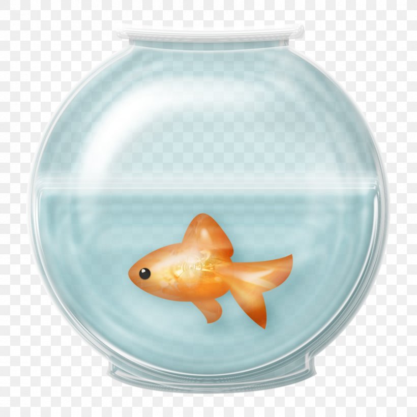 Goldfish Clip Art, PNG, 900x900px, Goldfish, Animal, Aquarium, Fish, Idea Download Free