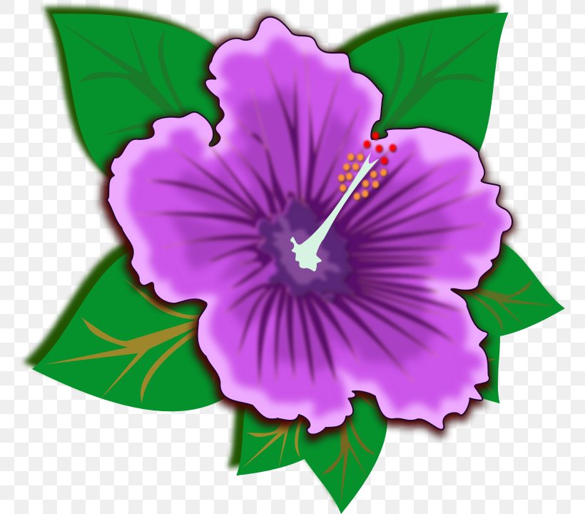 Hibiscus Schizopetalus Flower Purple Clip Art, PNG, 765x720px, Hibiscus Schizopetalus, Alyogyne Huegelii, Annual Plant, Flower, Flowering Plant Download Free