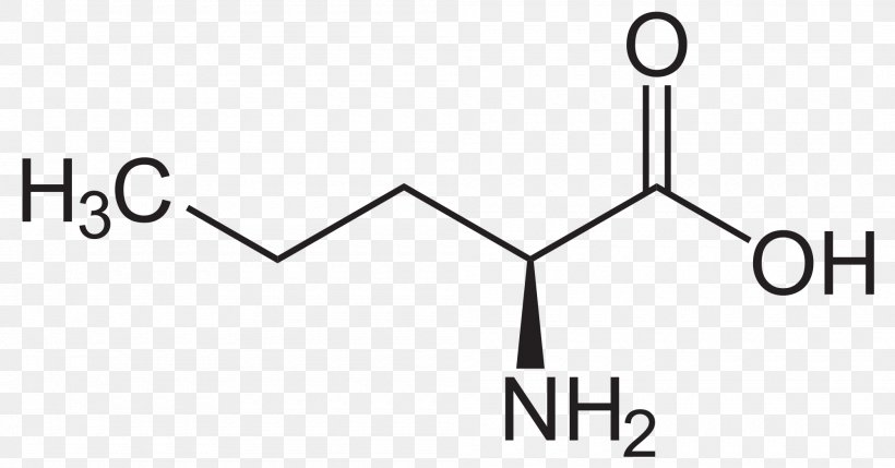Methionine Isoleucine Essential Amino Acid, PNG, 2000x1048px, Methionine, Amino Acid, Area, Aspartic Acid, Black And White Download Free
