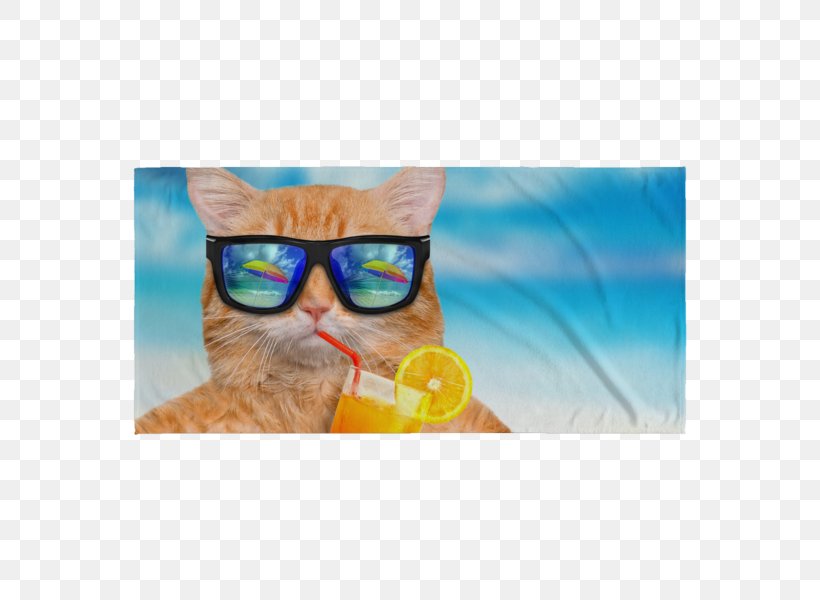 Cat YouTube Fotolia, PNG, 600x600px, Cat, Company, Eyewear, Fotolia, Glasses Download Free
