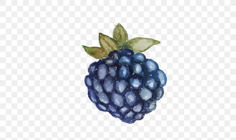 Grape Euclidean Vector, PNG, 608x488px, Grape, Berry, Bilberry, Blackberry, Blueberry Download Free