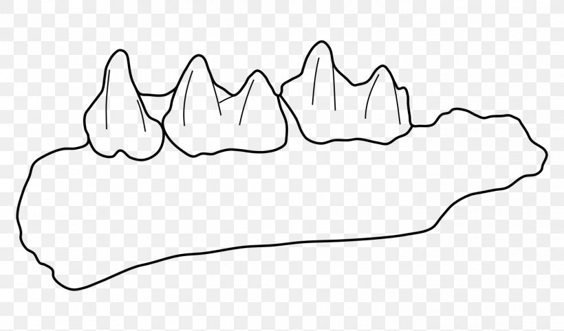 Mouth Cartoon, PNG, 1398x822px, Shoe, Animal, Finger, Hand, Jaw Download Free