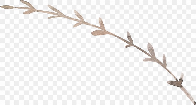 Twig Plant Stem Leaf Antler Line, PNG, 1276x687px, Twig, Antler, Branch, Flower, Leaf Download Free