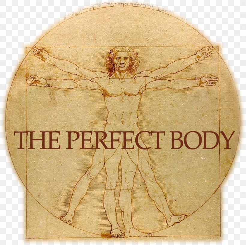 Vitruvian Man Gallerie Dell'Accademia St. John The Baptist Drawing Renaissance, PNG, 2033x2028px, Vitruvian Man, Art, Body Proportions, Drawing, History Download Free