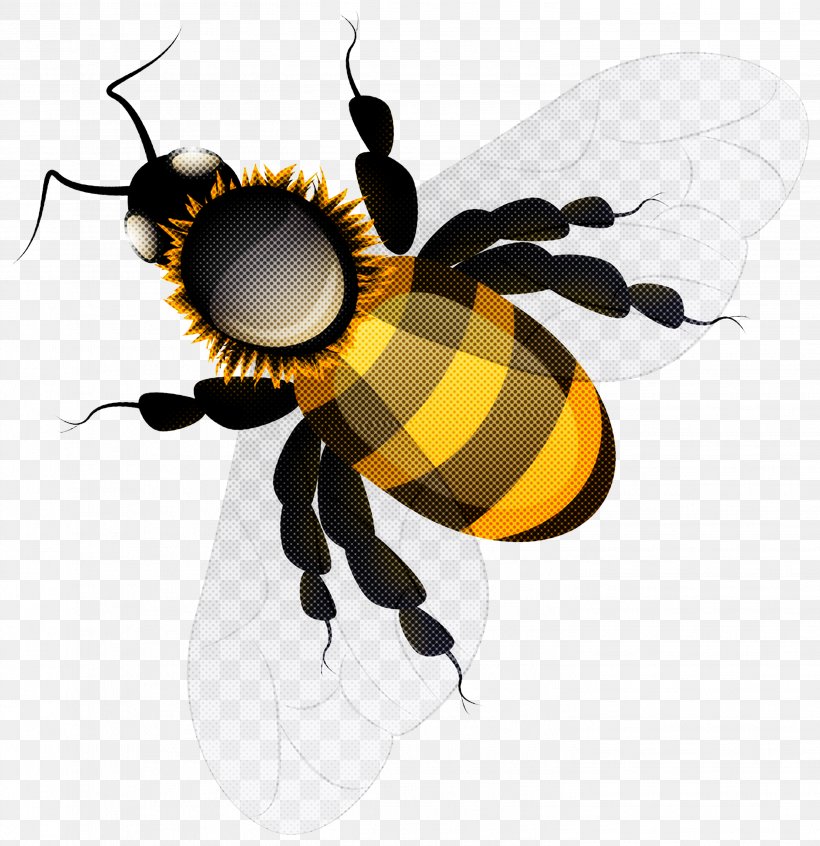 Bumblebee, PNG, 2907x3000px, Insect, Bee, Bumblebee, Fly, Honeybee Download Free