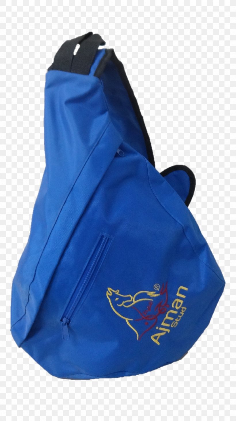 Plastic Bag Belt Personal Protective Equipment Tool, PNG, 1629x2896px, Plastic, Apron, Bag, Belt, Blue Download Free