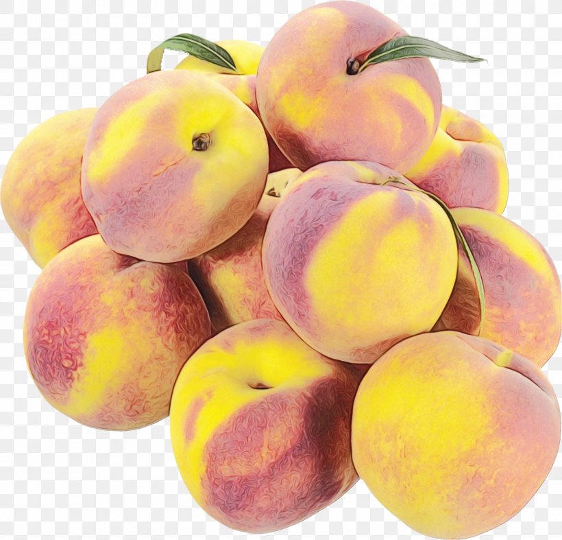 Apple Tree, PNG, 1600x1537px, Peach, Apple, Apricot, European Plum, Food Download Free