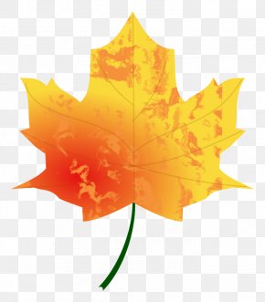 fall leaf clipart no background