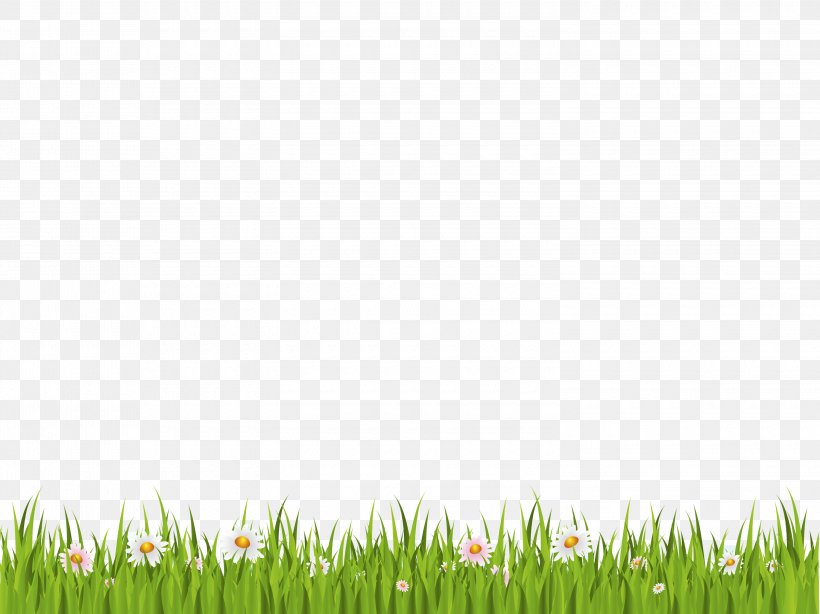 Flower Download Icon, PNG, 3000x2247px, Meadow, Flower, Grass, Grass Family, Grasses Download Free