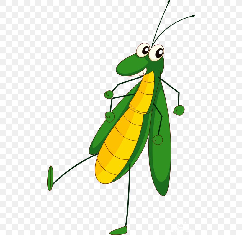 Insect Cartoon Grasshopper, PNG, 500x796px, Insect, Animation, Art, Arthropod, Artwork Download Free