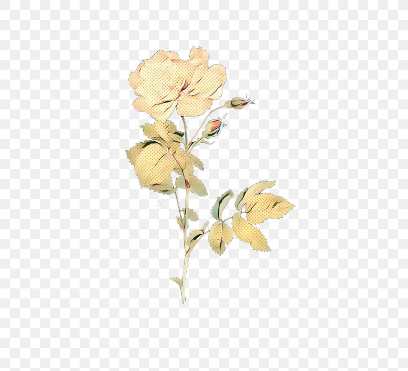 Rose Family Cut Flowers Floral Design Plant Stem, PNG, 510x746px, Rose Family, Botany, Bougainvillea, Branch, Cut Flowers Download Free