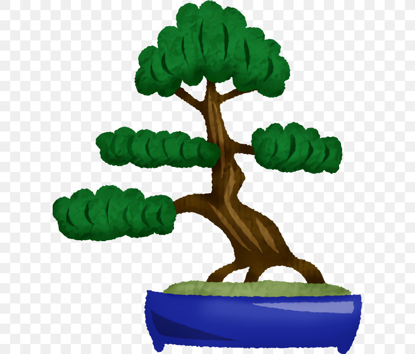 Bonsai Flowerpot M-tree Tree, PNG, 612x700px, Bonsai, Flowerpot, Mtree, Tree Download Free