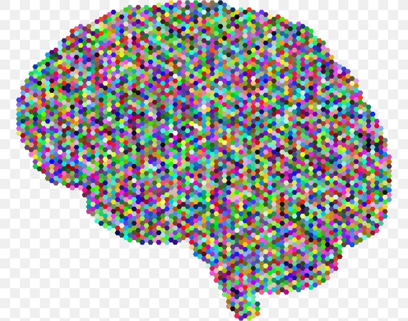 Brain Clip Art, PNG, 756x646px, Brain, Area, Cerebral Cortex, Cortex, Human Brain Download Free