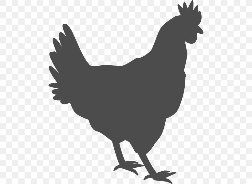 Fried Chicken Chicken Meat Broiler Wrap, PNG, 504x598px, Chicken, Beak, Bird, Black And White, Broiler Download Free