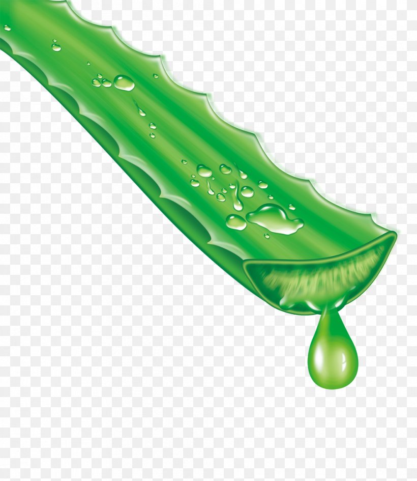 Herbal Aloe Vera Aloin Extract Gel, PNG, 992x1144px, Herbal, Aloe Emodin, Aloe Vera, Aloin, Emodin Download Free