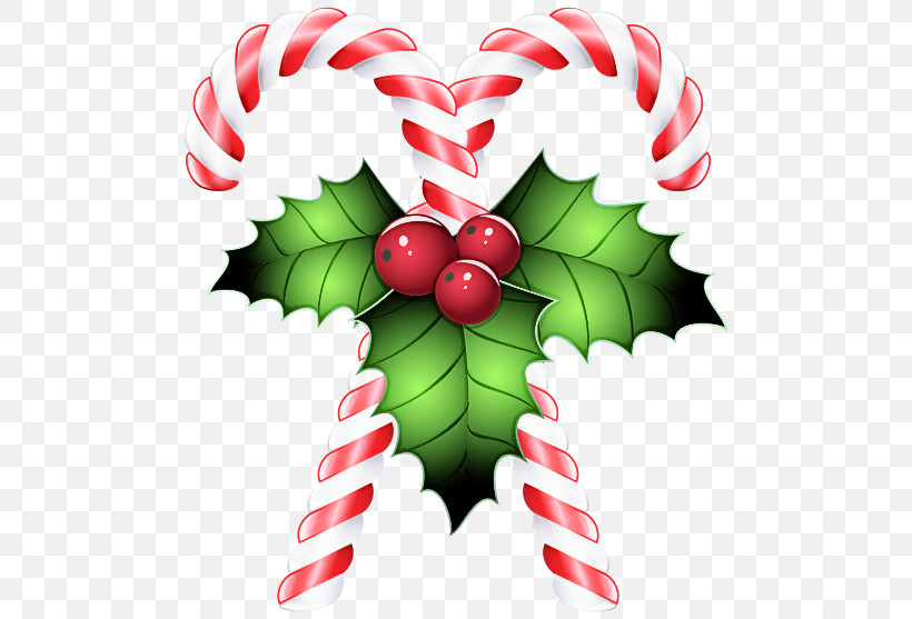 Holly, PNG, 500x557px, Holly, Berry, Christmas, Flower, Leaf Download Free