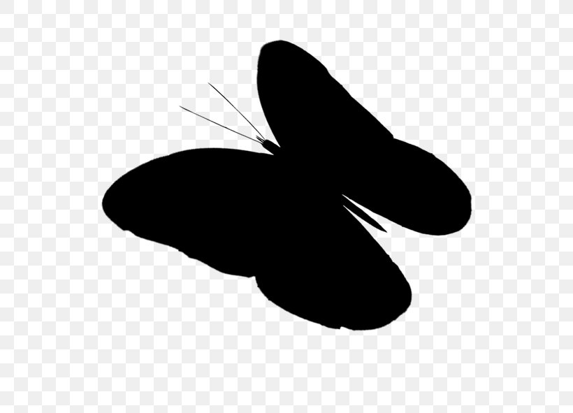 Clip Art Shoe Line Silhouette M. Butterfly, PNG, 591x591px, Shoe, Black M, Blackandwhite, Butterfly, Logo Download Free