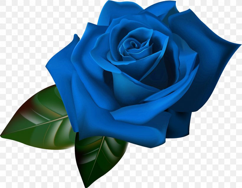 Desktop Wallpaper Display Resolution Clip Art, PNG, 1200x937px, Display Resolution, Blue, Blue Rose, Cobalt Blue, Cut Flowers Download Free