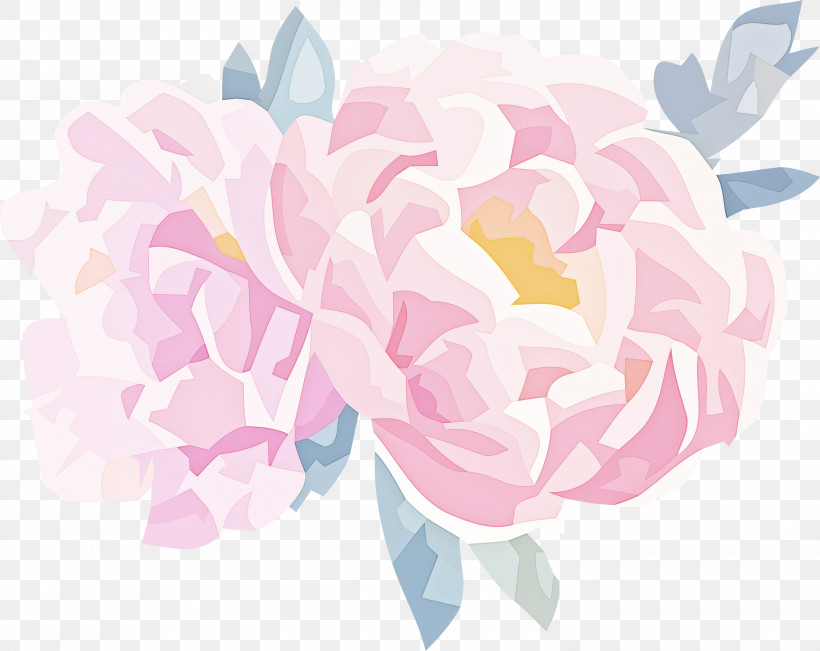 Floral Design, PNG, 3000x2384px, Watercolor Flower, Cabbage Rose, Cut Flowers, Floral Design, Flower Download Free