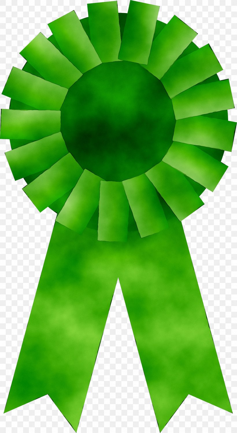 Green Product Design Leaf Symmetry, PNG, 1533x2806px, Green, Leaf, Symbol, Symmetry Download Free