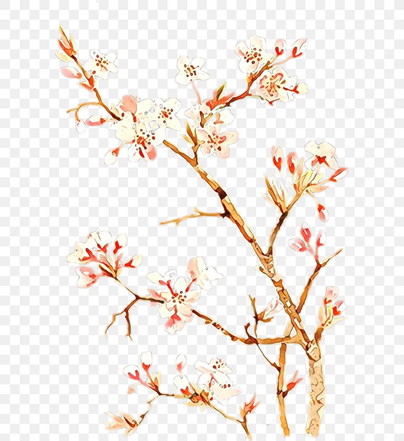 Cherry Blossom, PNG, 597x895px, Cartoon, Blossom, Branch, Cherry Blossom, Flower Download Free