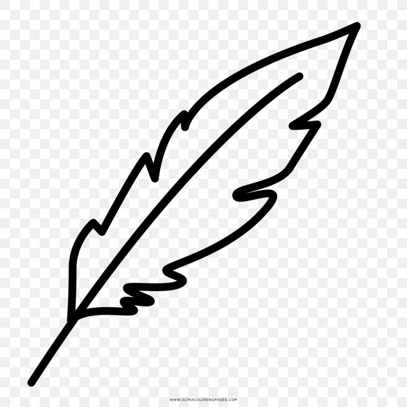 Drawing Coloring Book Painting Feather, PNG, 1000x1000px, Drawing, Area, Artwork, Ausmalbild, Black Download Free