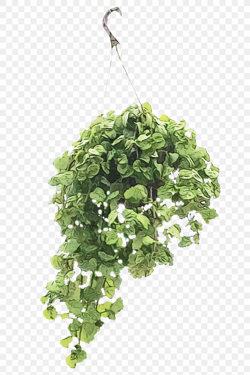 Leaf Flowerpot Herb Tree Branching, PNG, 1440x2160px, Watercolor, Biology, Branching, Flowerpot, Herb Download Free