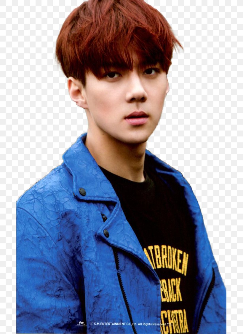 Sehun Exodus K-pop, PNG, 709x1126px, Sehun, Baekhyun, Bangs, Black Hair, Bowl Cut Download Free